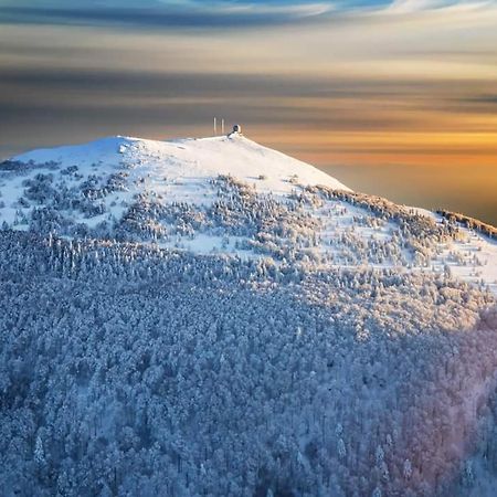 Granges-sur-VologneChamois D'Or Ideal 2 Familles, Amis 9 Personnes Proche De Gerardmerアパートメント エクステリア 写真