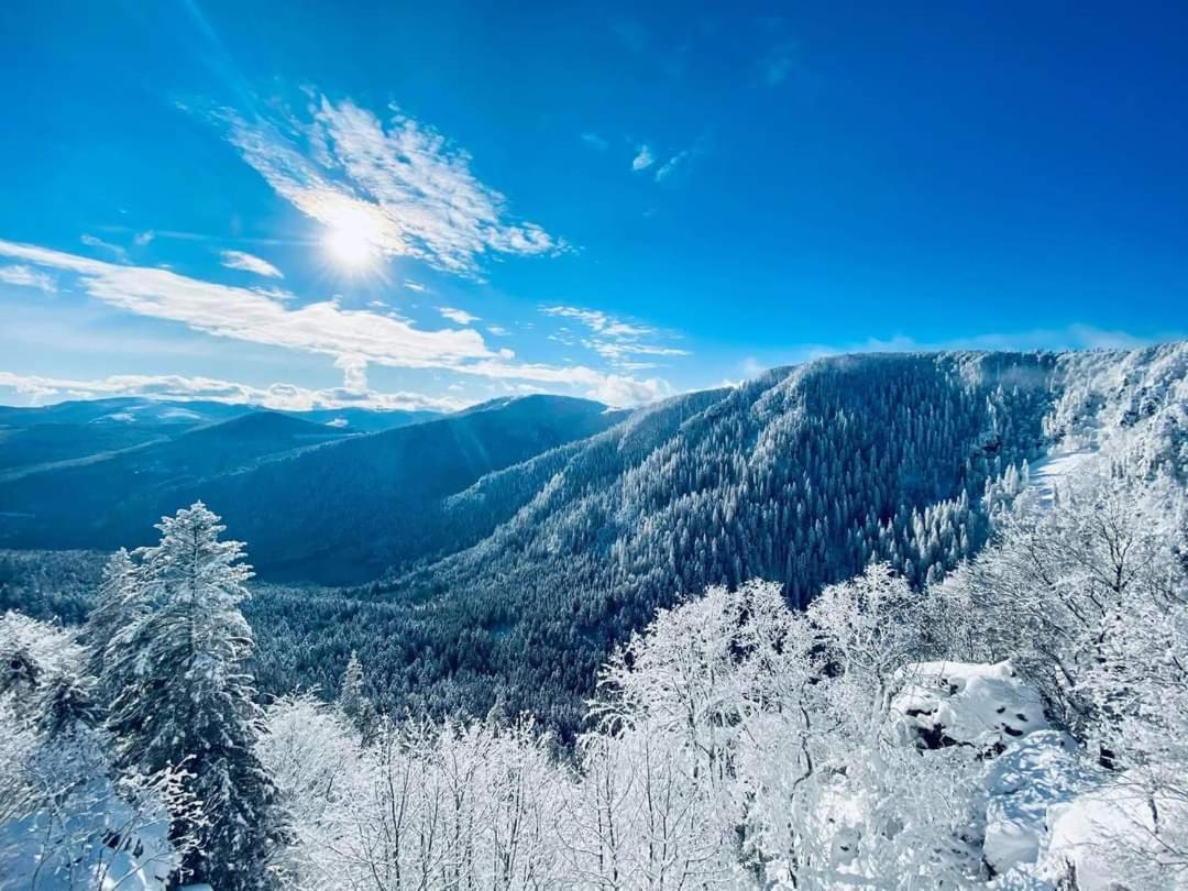 Granges-sur-VologneChamois D'Or Ideal 2 Familles, Amis 9 Personnes Proche De Gerardmerアパートメント エクステリア 写真